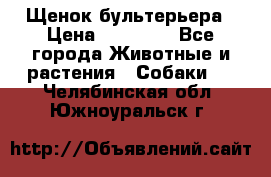 Щенок бультерьера › Цена ­ 35 000 - Все города Животные и растения » Собаки   . Челябинская обл.,Южноуральск г.